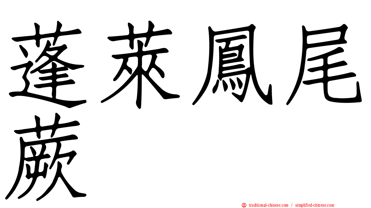 蓬萊鳳尾蕨