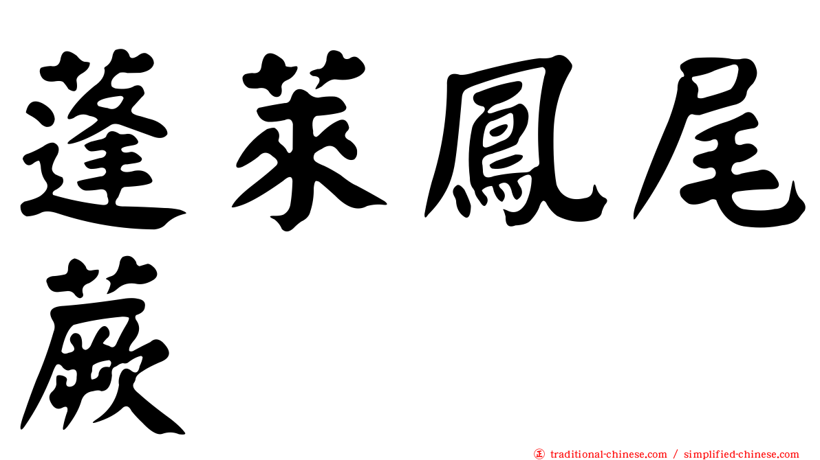 蓬萊鳳尾蕨