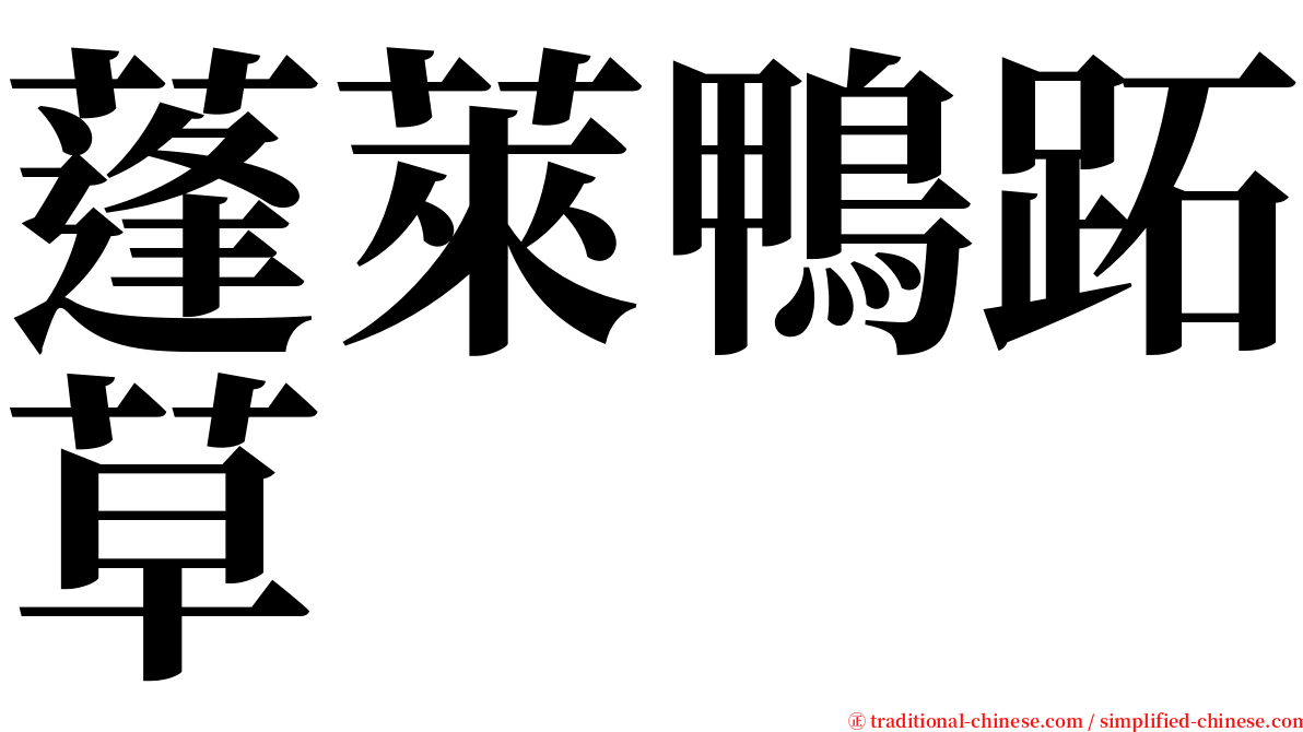蓬萊鴨跖草 serif font