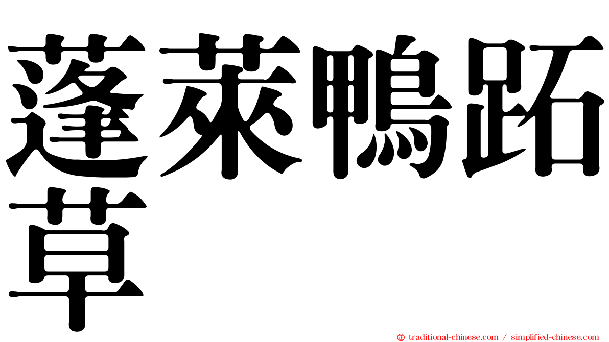 蓬萊鴨跖草