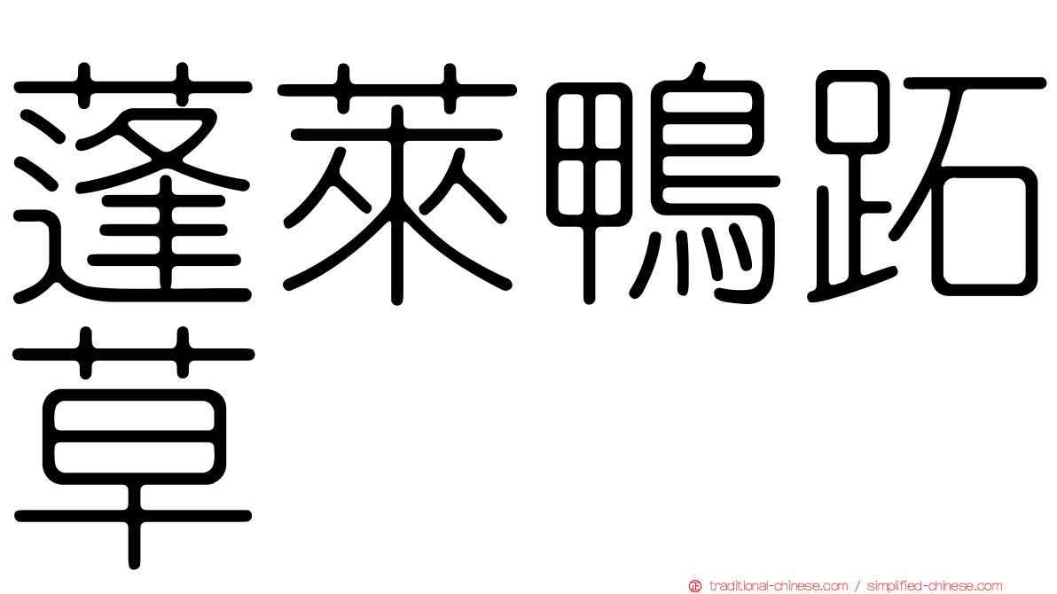 蓬萊鴨跖草