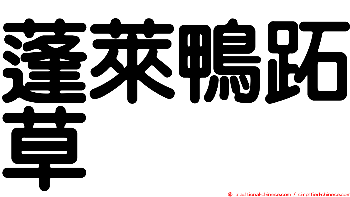 蓬萊鴨跖草