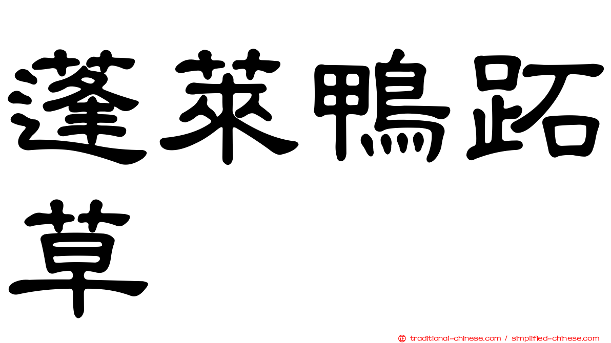 蓬萊鴨跖草