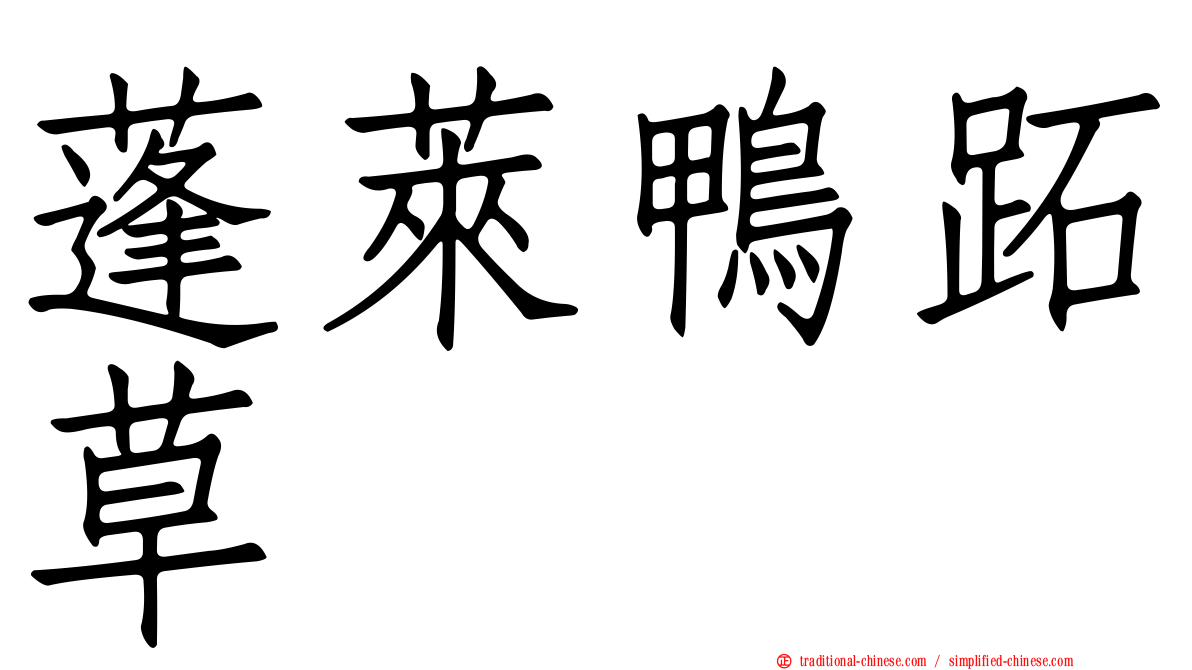 蓬萊鴨跖草