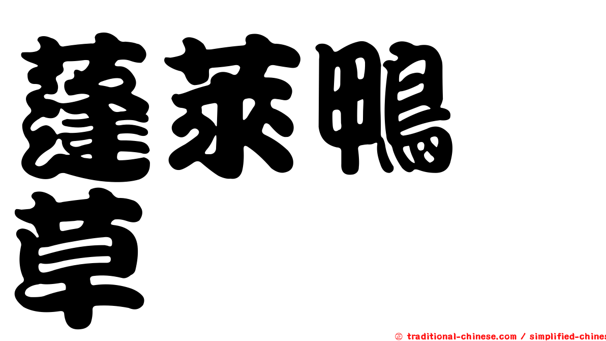 蓬萊鴨跖草