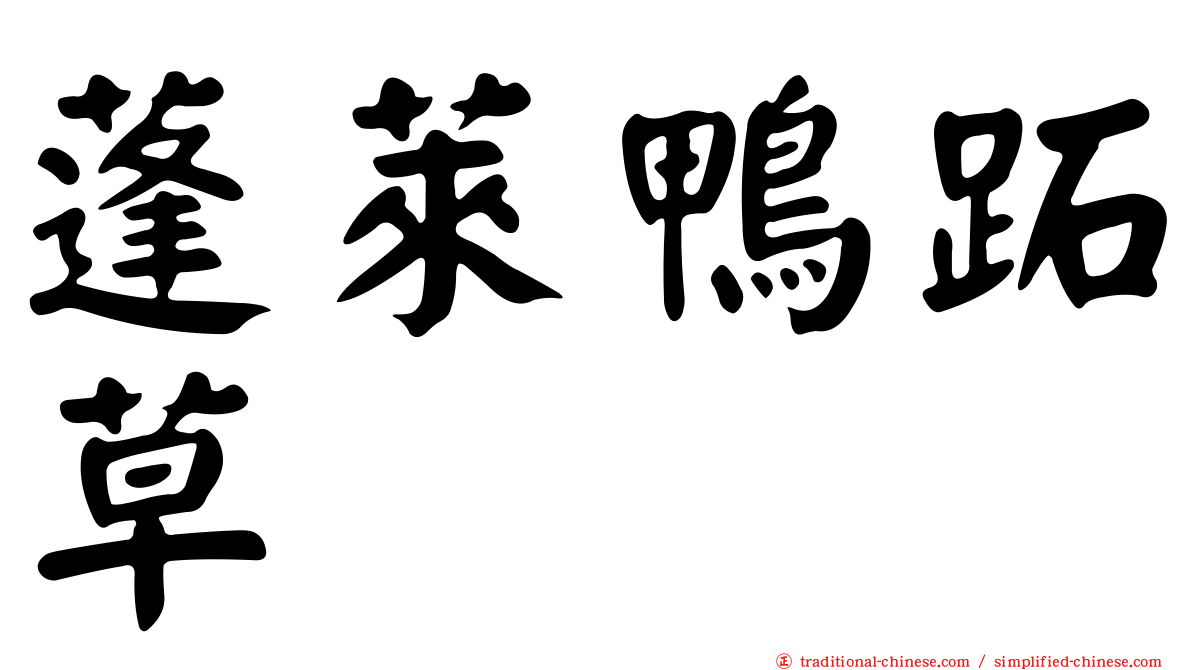 蓬萊鴨跖草