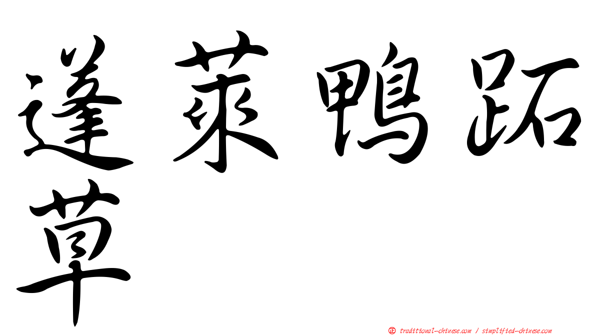 蓬萊鴨跖草