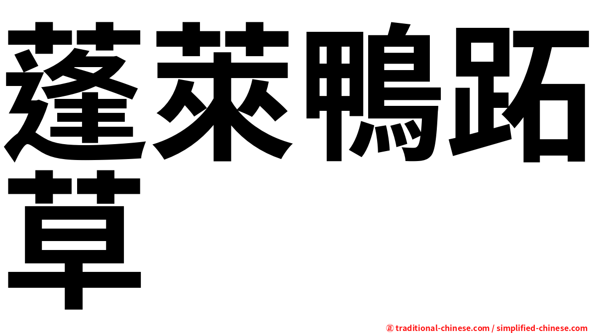 蓬萊鴨跖草