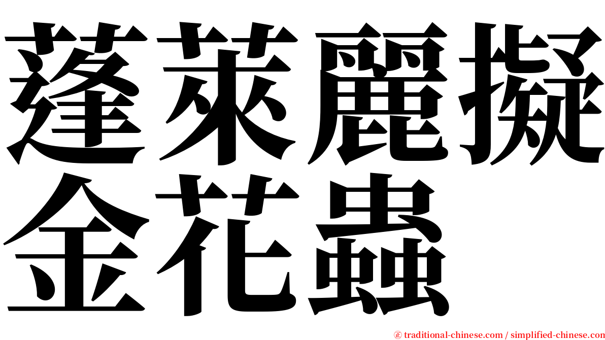 蓬萊麗擬金花蟲 serif font