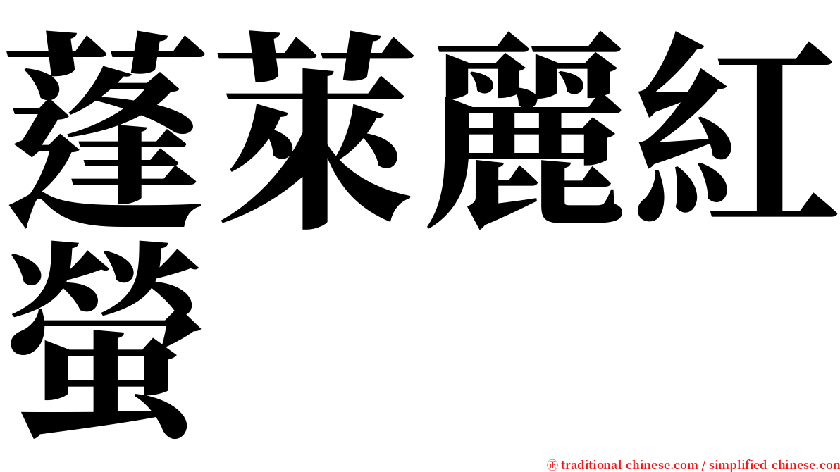 蓬萊麗紅螢 serif font