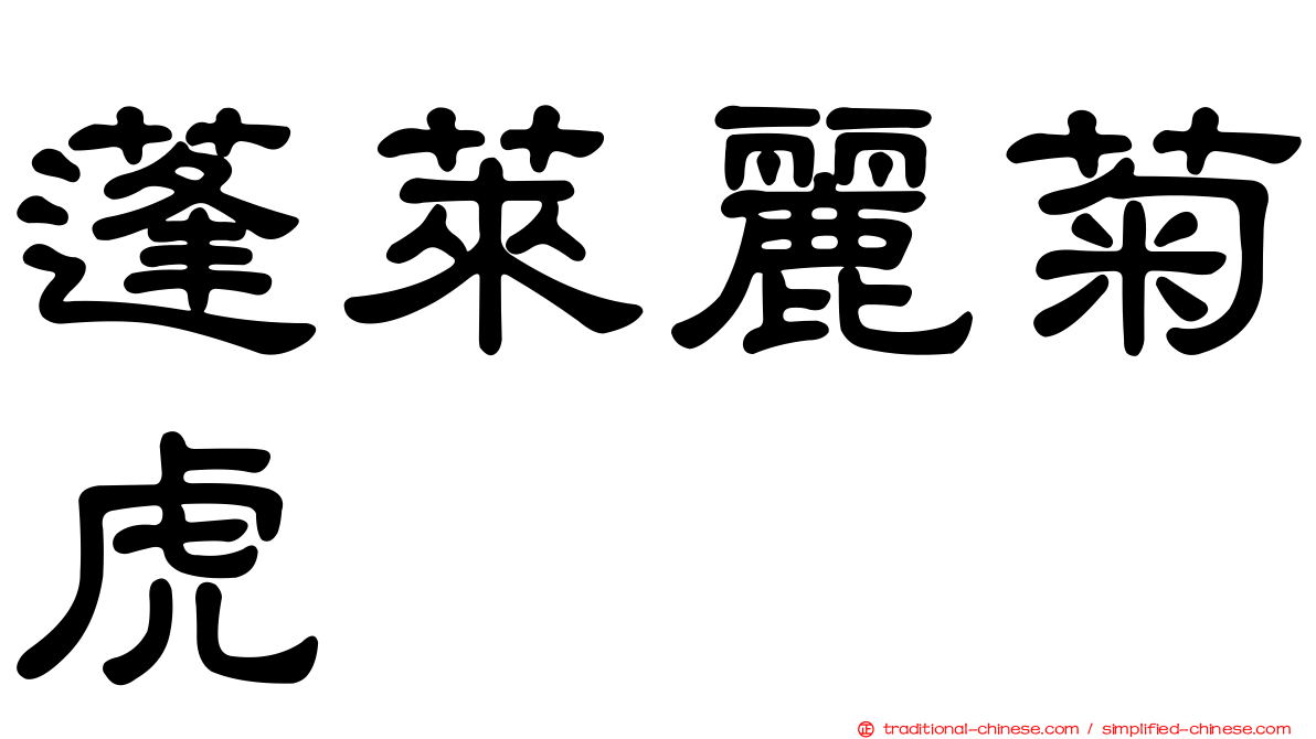 蓬萊麗菊虎