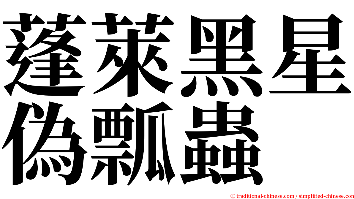 蓬萊黑星偽瓢蟲 serif font