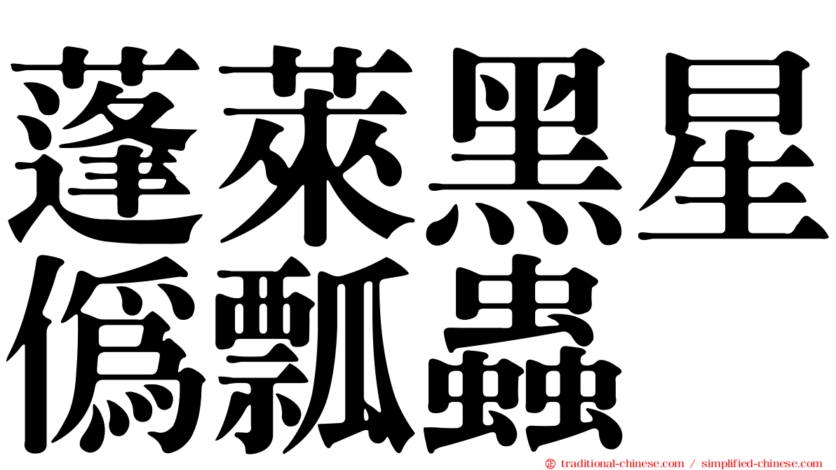蓬萊黑星偽瓢蟲