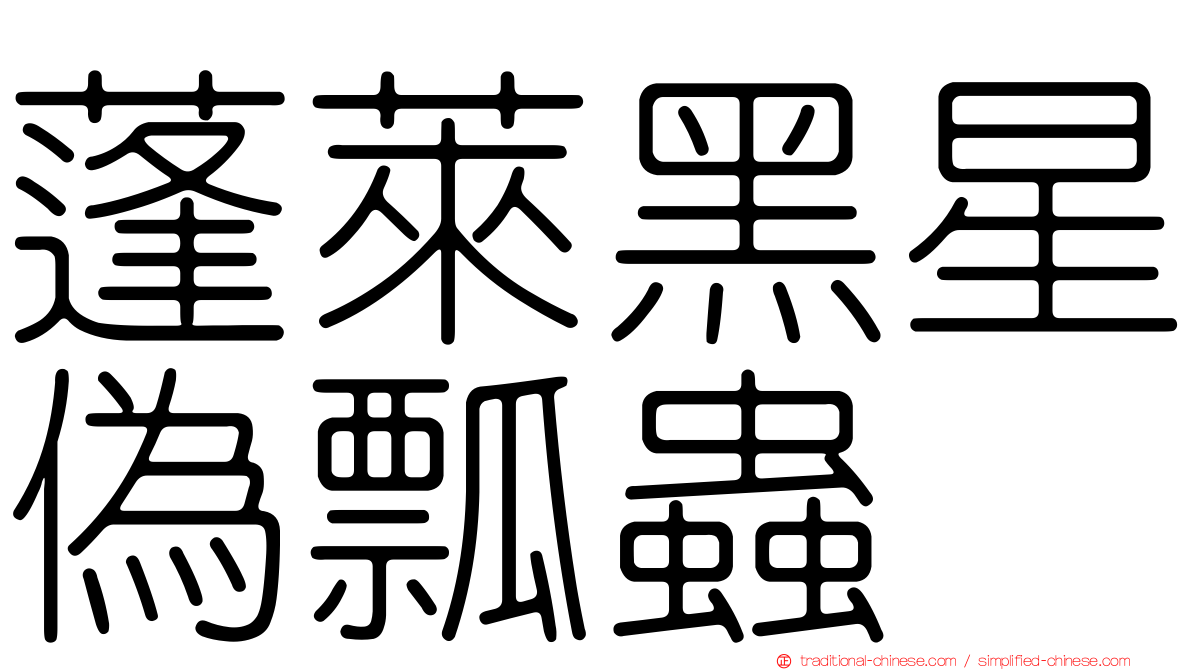 蓬萊黑星偽瓢蟲