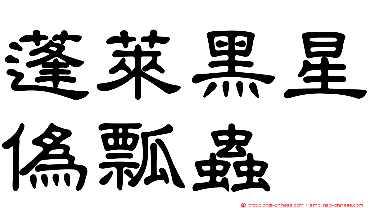 蓬萊黑星偽瓢蟲