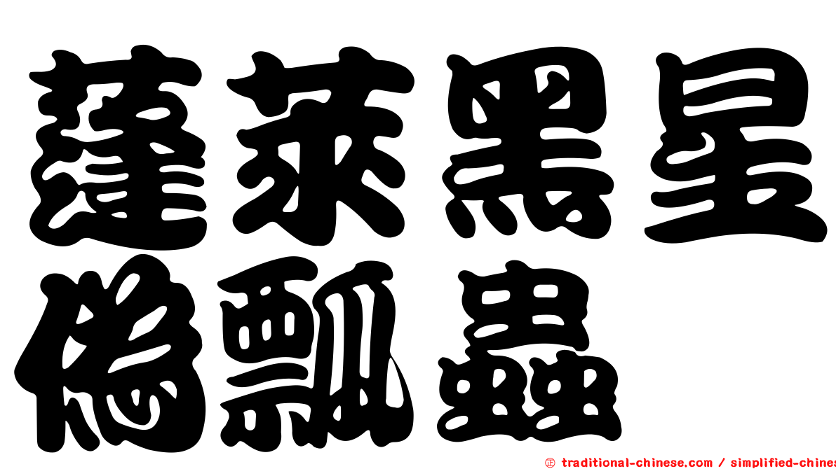 蓬萊黑星偽瓢蟲