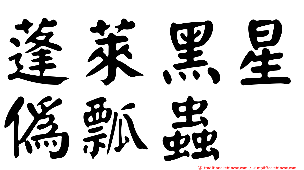 蓬萊黑星偽瓢蟲