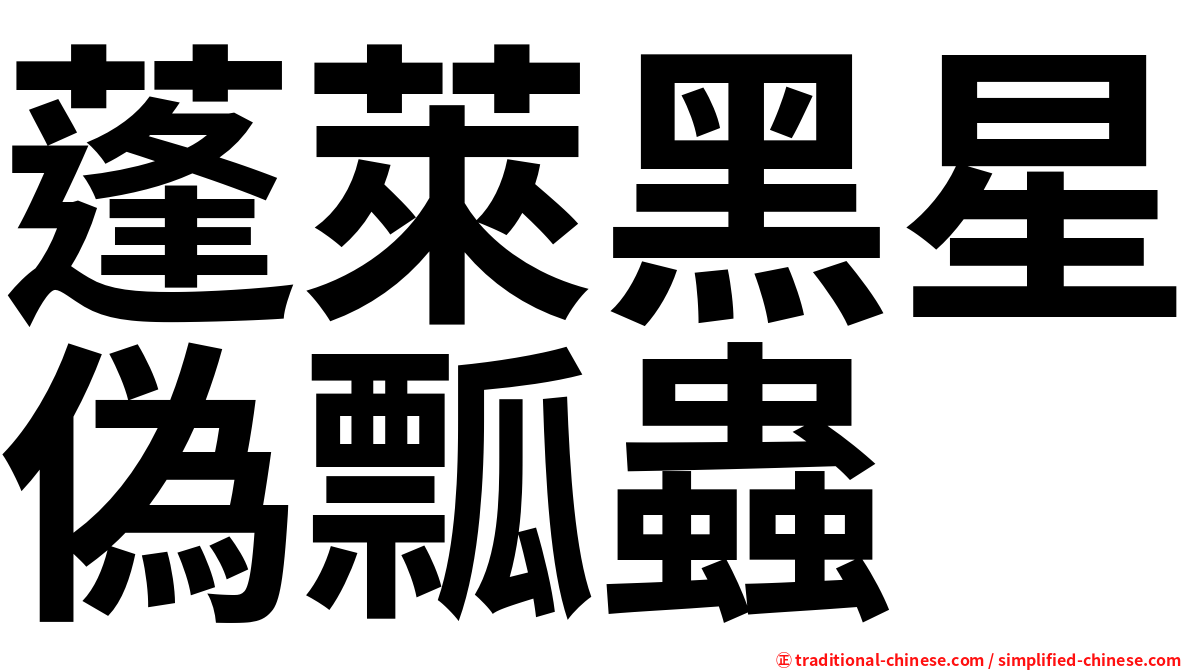 蓬萊黑星偽瓢蟲