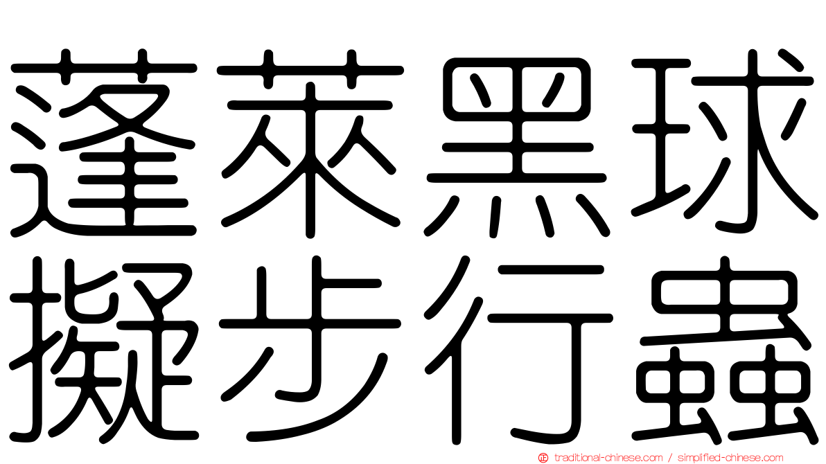 蓬萊黑球擬步行蟲