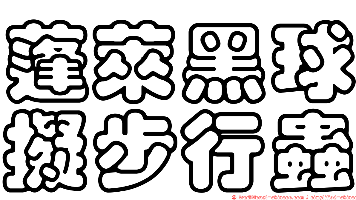 蓬萊黑球擬步行蟲