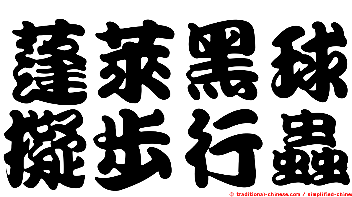 蓬萊黑球擬步行蟲
