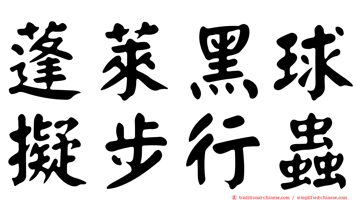 蓬萊黑球擬步行蟲
