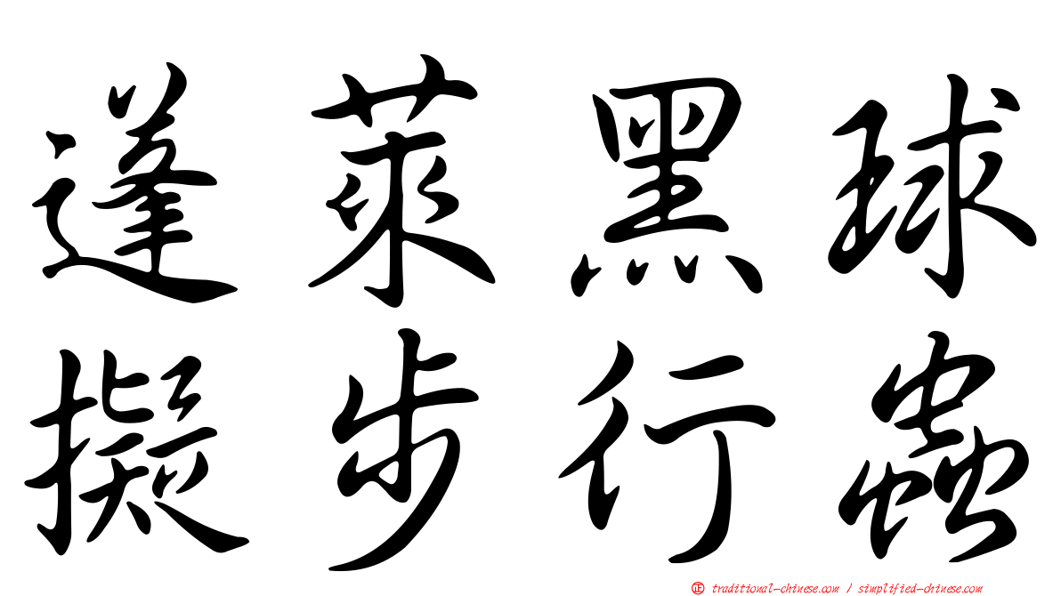 蓬萊黑球擬步行蟲