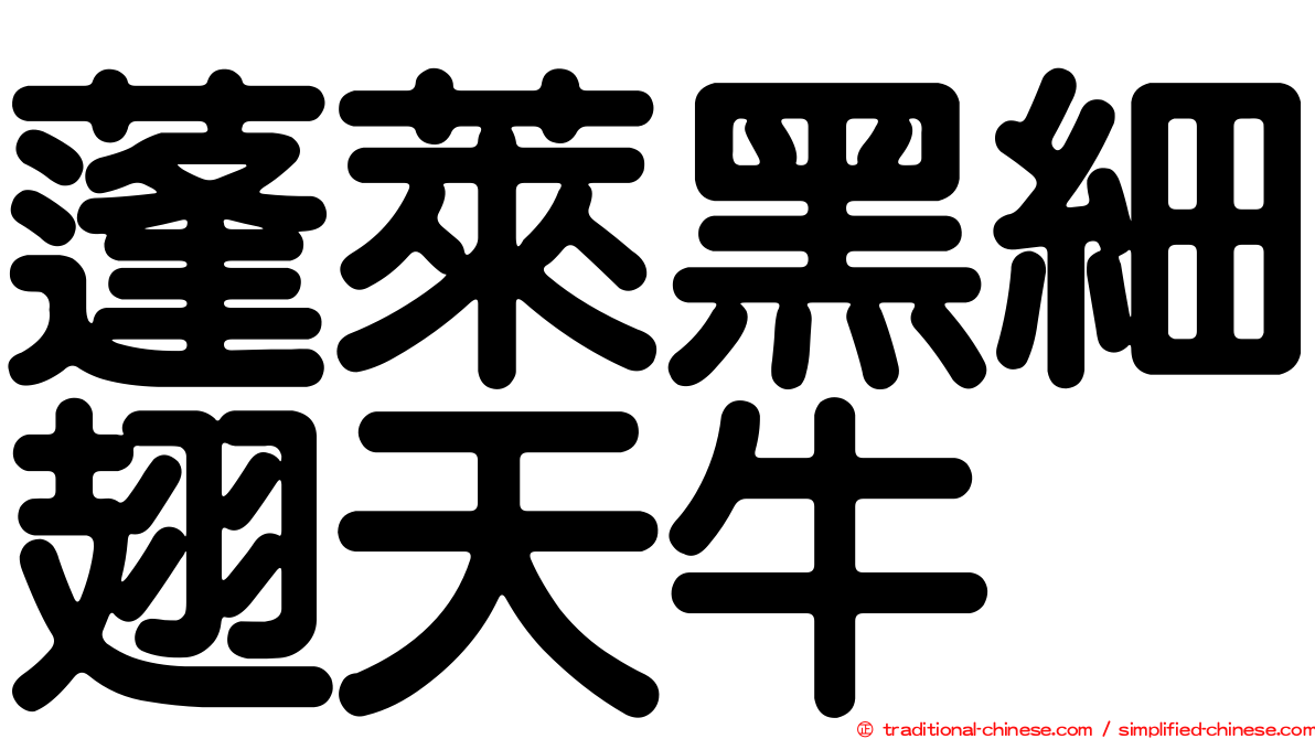 蓬萊黑細翅天牛