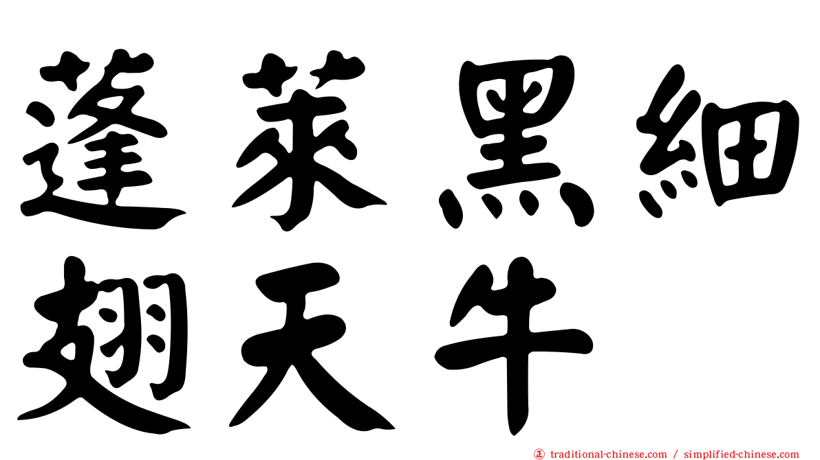 蓬萊黑細翅天牛