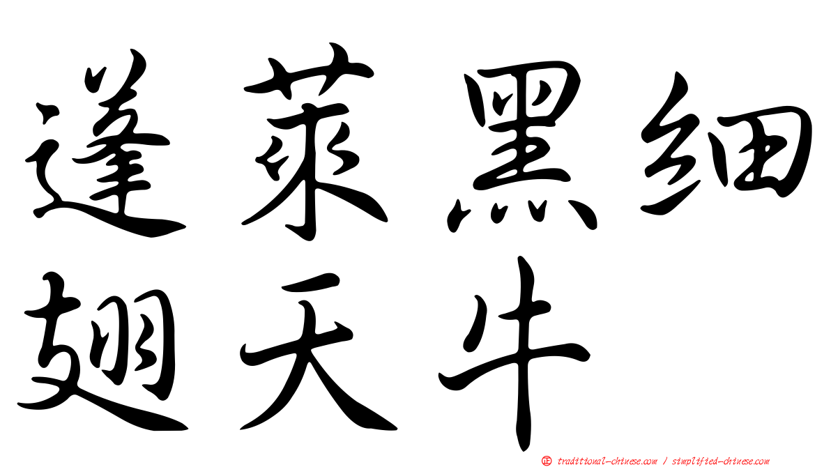 蓬萊黑細翅天牛