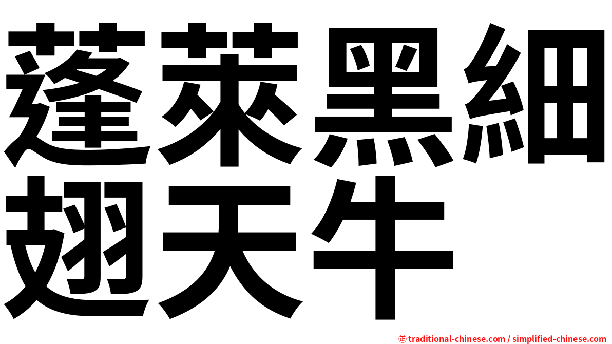 蓬萊黑細翅天牛