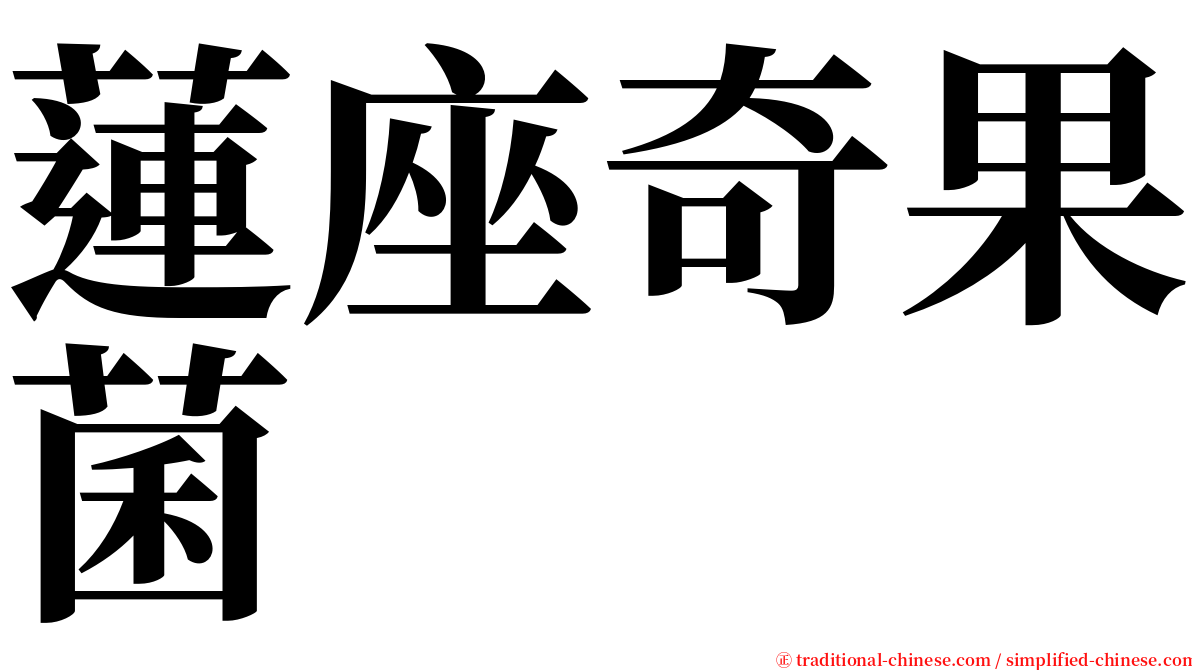 蓮座奇果菌 serif font