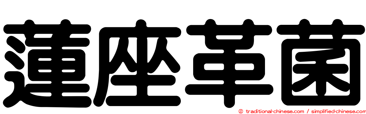 蓮座革菌