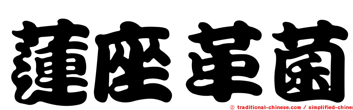 蓮座革菌