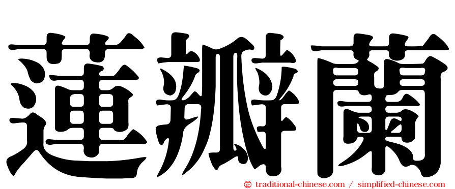 蓮瓣蘭
