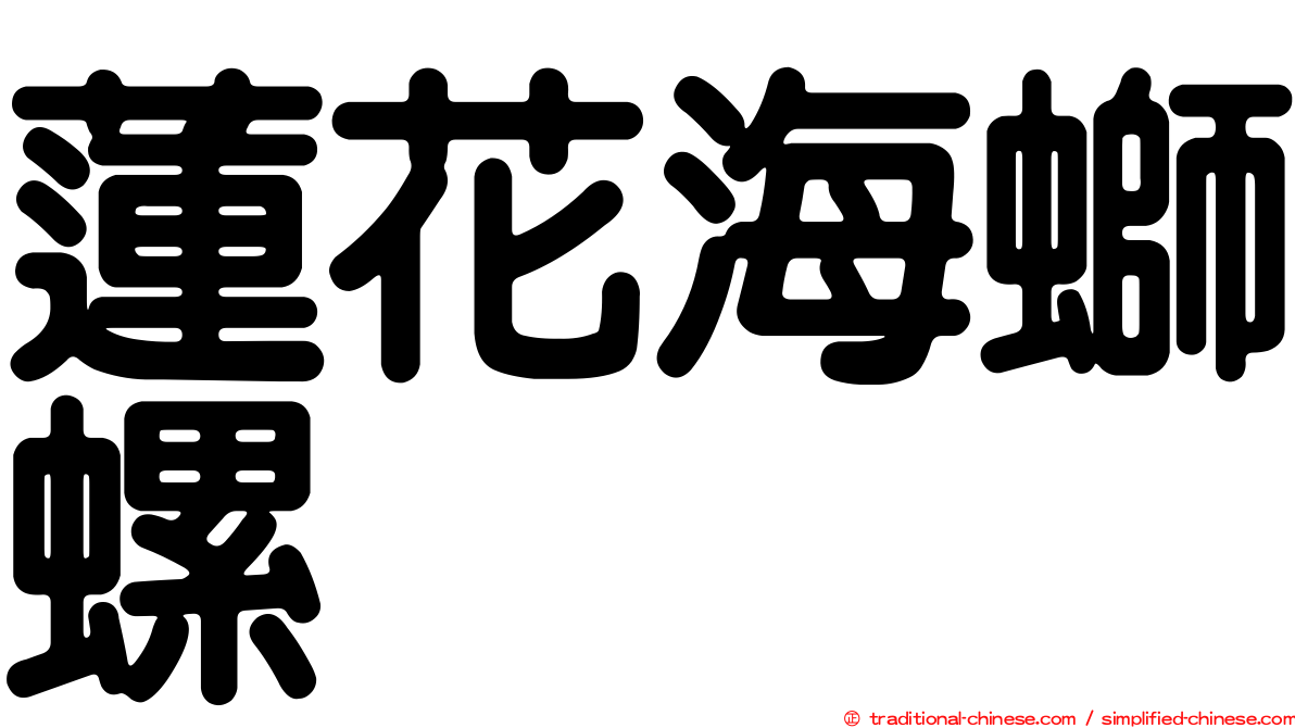蓮花海螄螺