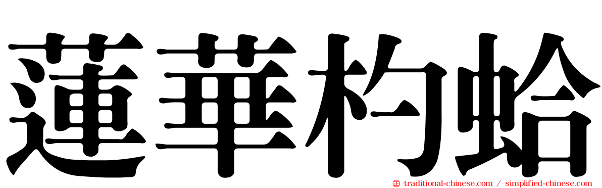 蓮華杓蛤
