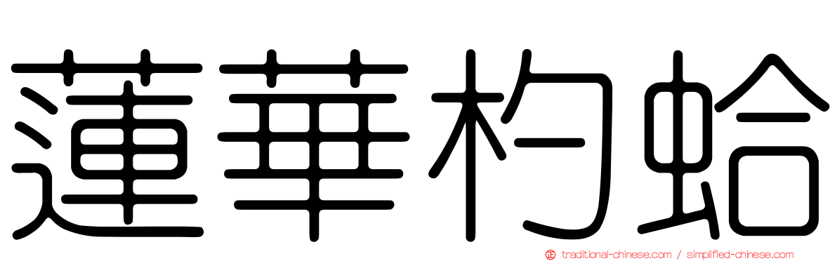 蓮華杓蛤