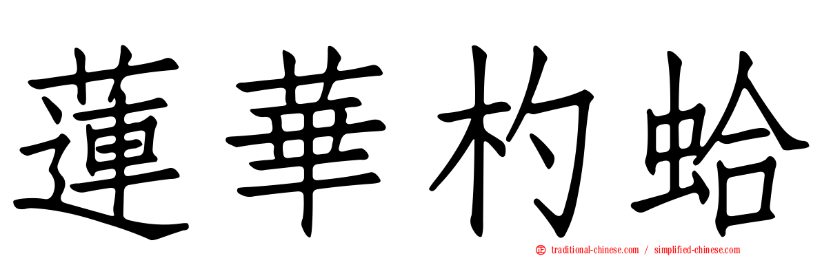 蓮華杓蛤