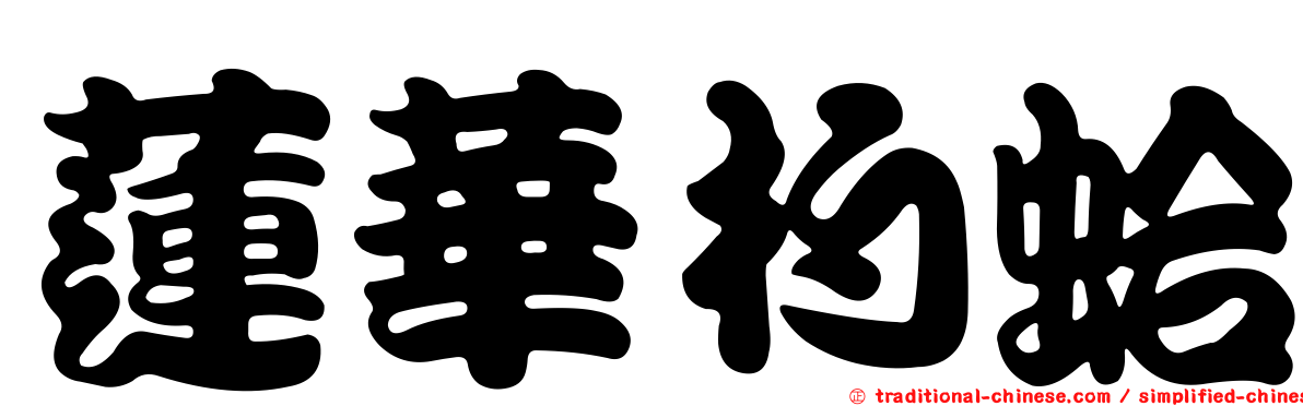 蓮華杓蛤