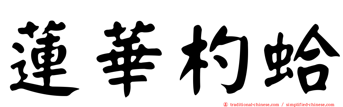 蓮華杓蛤