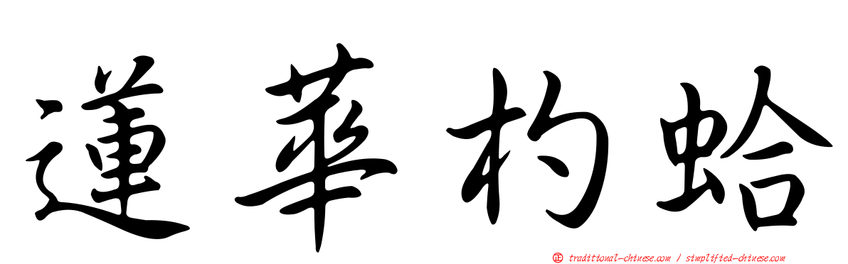 蓮華杓蛤