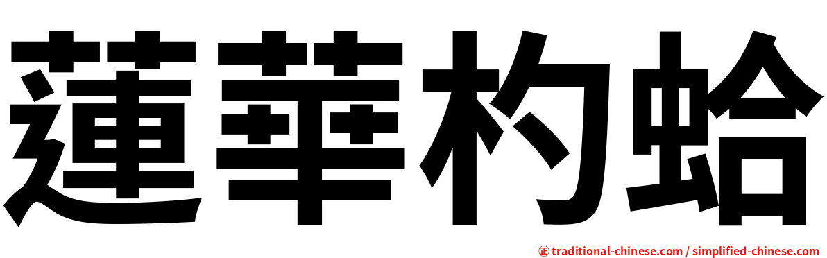 蓮華杓蛤
