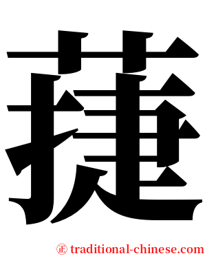蓵 serif font