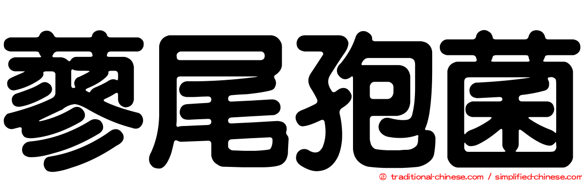 蓼尾孢菌