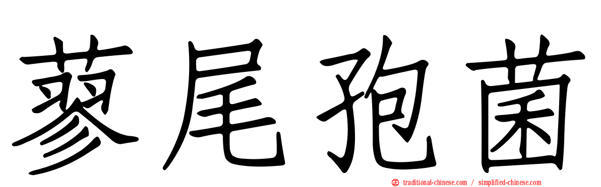蓼尾孢菌