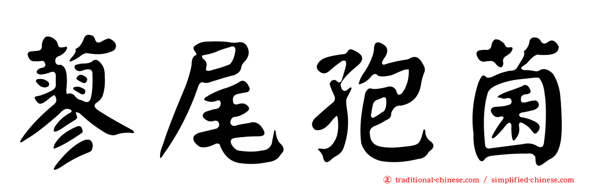 蓼尾孢菌