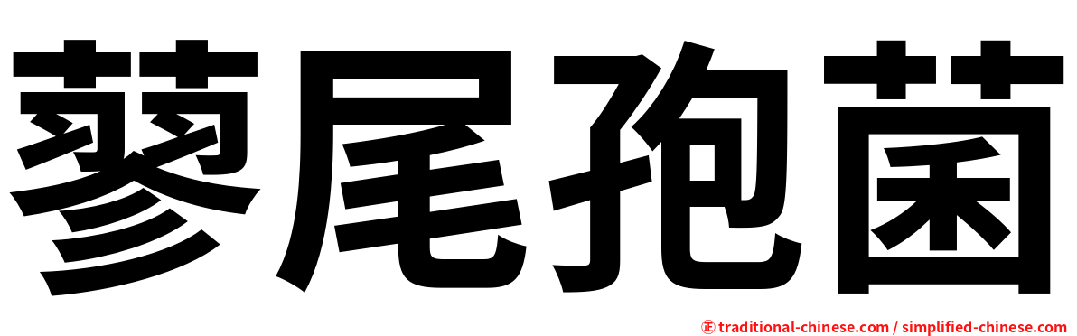 蓼尾孢菌