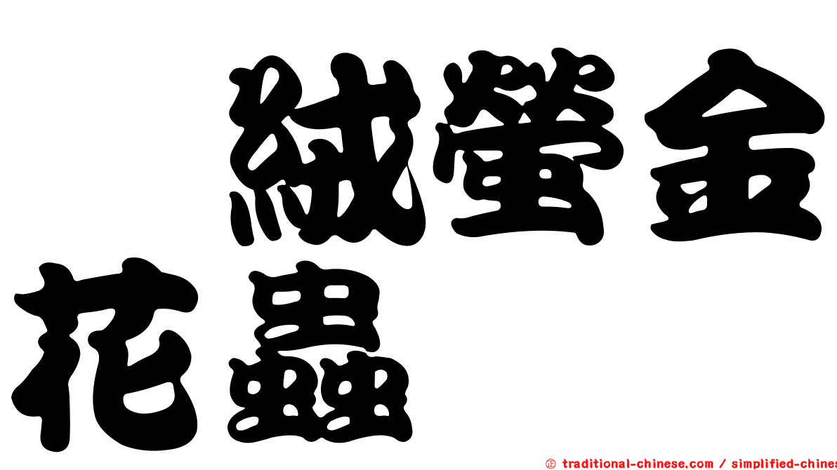 蓼絨螢金花蟲