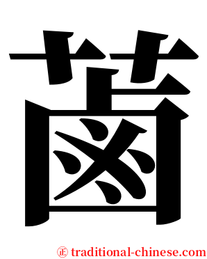 蓾 serif font
